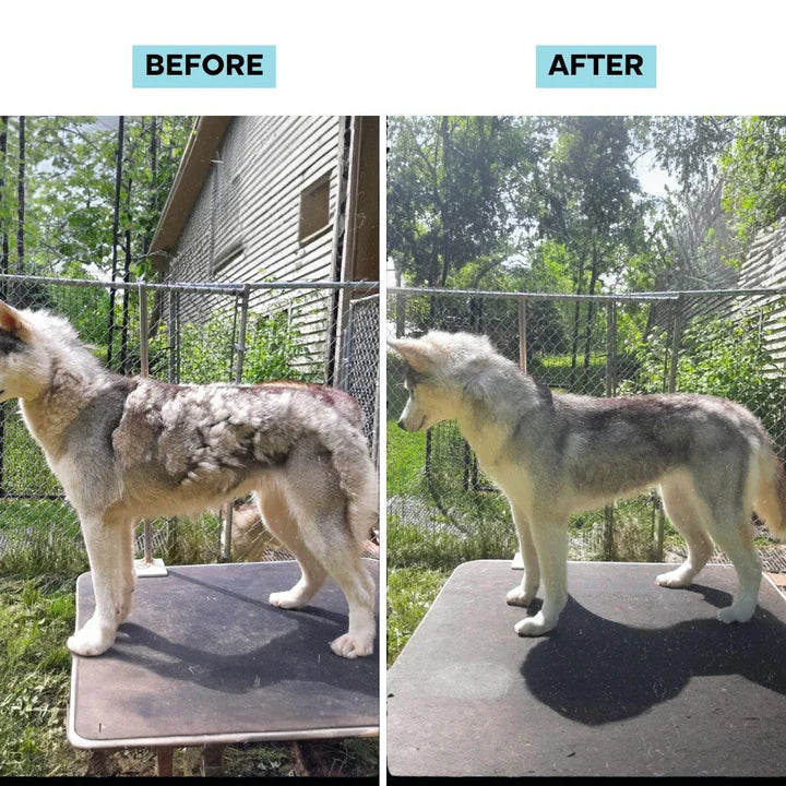 Cleanfure Pet Grooming Kit - Cordless