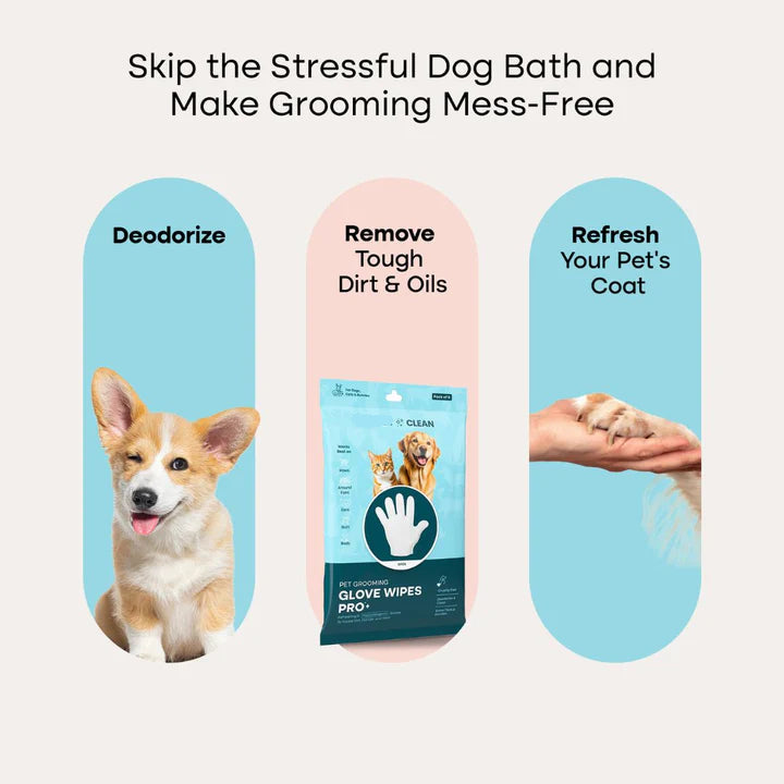 Cleanfure Grooming Gloves Pro