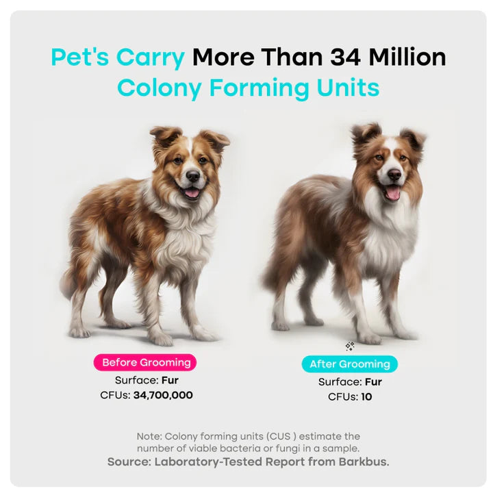 Cleanfure Pet Grooming Kit - Cordless