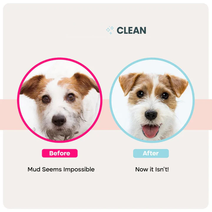 Cleanfure Grooming Gloves Pro