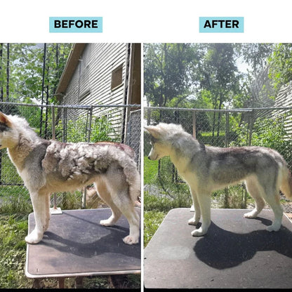 Cleanfure Pet Grooming Kit - Cordless
