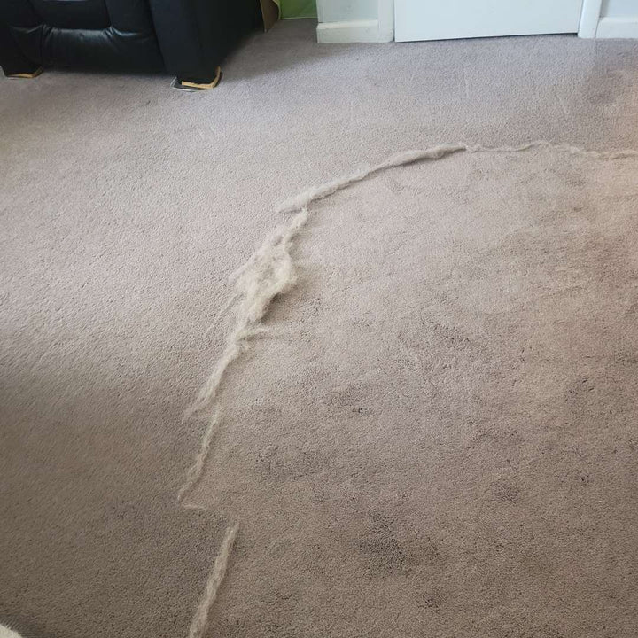 Cleanfure Cleaner Max™